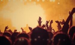 A crowd of people seen from behind at a concert