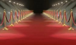 Disabled contestants - red carpet