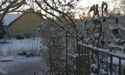 Snow-covered garden with a wrought iron gate and archway, leading to a brick path and a house in the background at sunset.